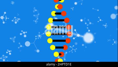 Bild von dna-Strangspinnung und Molekülen auf blauem Hintergrund Stockfoto