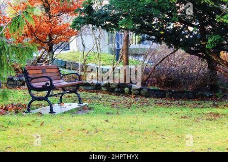 Die Parkbank im Feld im Park, der Herbst. Bäume in Herbstfarben im Hintergrund. Stockfoto