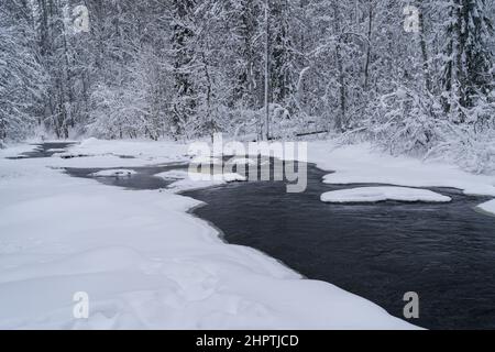 Eisfrei laufender Fluss im verschneiten Wald an einem düsteren kalten Wintertag Stockfoto
