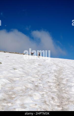 Männer und Frauen Wandern auf dem schneebedeckten Trail in den Rocky Mountains mit einem sonnigen und hellen Blue Sky Hintergrund. Stockfoto