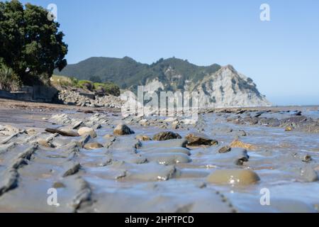 Zerklüfteter Felsboden zur Gezeitenzone bei Ebbe Tokomau Bay, Ostküste Nordinsel Neuseeland. Stockfoto