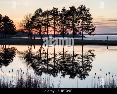 Sonnenuntergang im Park: Die Besucher des Parks gehen an einer Reihe von Bäumen vorbei, die sich in einem Teich spiegeln, während die Sonne am frühen Frühlingstag untergeht. Stockfoto