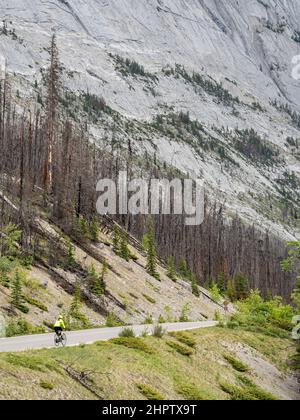 High Level Cycling through the Rockies: Eine einreisende Frau, die in blühenden Gelb gekleidet ist, radelt entlang einer leeren Straße neben dem Maligne Lake im Jasper National Park. Ein ausgebrannter Waldabschnitt und ein riesiger steiler Hang befinden sich auf ihrer linken Seite.