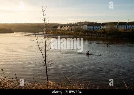 Newburn UK: 30th. Jan 2022: Ruderer auf dem Fluss Tyne an einem frühen sonntagmorgen. Rudern Wassersport Übung Stockfoto