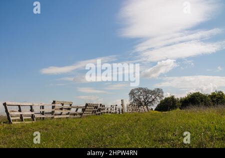 Ländliche Landschaft mit einem wackeligen Zaun, einem Feldweg von Feld zu Dorf und einem blauen Himmel mit whimsical weißen Wolken. Sommer sonnigen Tag, grün Gra Stockfoto