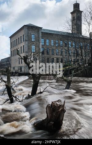 Das Regenwasser von Storm Franklin fließt über Saltaire in West Yorkshire, Großbritannien, den Fluss Aire entlang und trägt von Salts Mills Bäume zum Wehr. Stockfoto