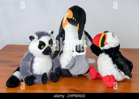 Drei ausgestopfte Tierarten: Ringschwanz-Lemur, Kaiserpinguine und Atlantischer Papageitaucher auf einem Tisch mit weißem, nahtlosem Hintergrund Stockfoto