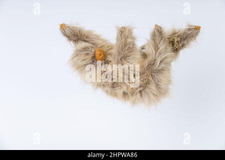 Das Stofftier Linnäus's Two-Toed Sloth hängt an einer Schnur Stockfoto