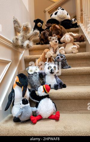 Ausgestopfte Tiere, die mit ihrem Freund eine Treppe hinunterlaufen Stockfoto