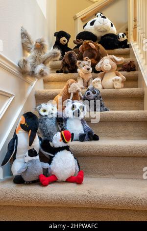 Ausgestopfte Tiere, die mit ihrem Freund eine Treppe hinunterlaufen Stockfoto