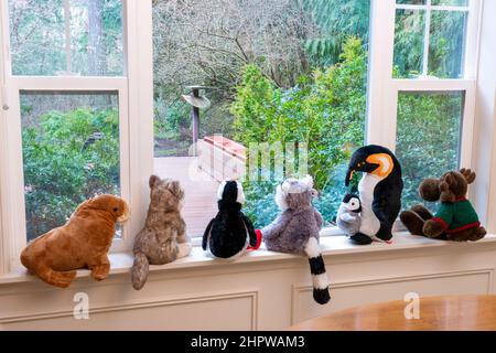 Ausgestopfte Tiere sitzen auf einer Schwelle und starren aus dem Fenster auf einen bewaldeten Hof und eine Holzterrasse Stockfoto