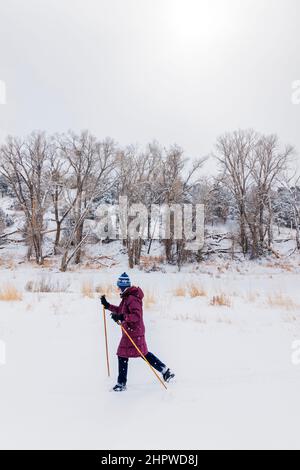 Senior Frau Skilanglauf im Neuschneesturm; Vandaveer Ranch; Salida; Colorado; USA Stockfoto