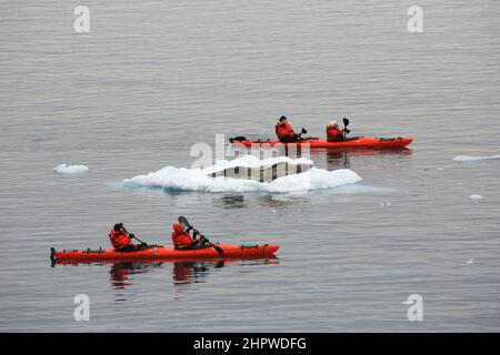 Touristen in zwei Tandem-Kajaks beobachten eine Leopardenrobbe, die auf einer Eisscholle im Kanal zwischen Danco Island und Range Island in der Antarktis ruht. Stockfoto