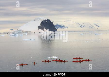 Touristen beobachten in acht Tandemkajaks eine Leopardenrobbe, die auf einer Eisscholle im Kanal zwischen Danco Island und Range Island in der Antarktis ruht. Stockfoto