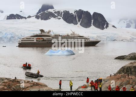 Gentoo-Pinguine brüten an der felsigen Küste der Petermann-Insel in der Antarktis, mit dem Le Boreal-Schiff und den Bergen im Hintergrund. Stockfoto