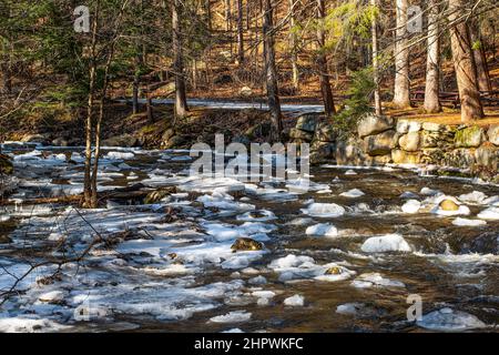 willard Brook liegt im willard Brook State Park in ashby, der von Schnee und Eis bedeckt ist Stockfoto