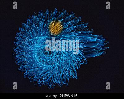 Kreisel, dunkler Hintergrund, geometrische Form, abstrakte Figuren, Lichtspiel, Bewegung, Pendelfotografie, Baden-Baden, Baden-Württemberg Stockfoto