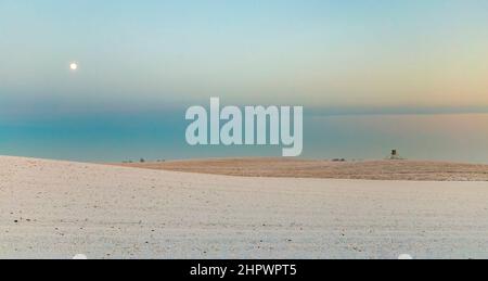 Helle Winterlandschaft mit Allee im Sonnenuntergang Stockfoto