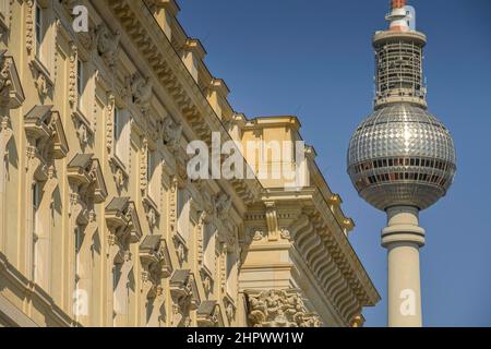 Südfassade Humboldt Forum, Fernsehturm, Schlossplatz, Mitte, Berlin, Deutschland Stockfoto