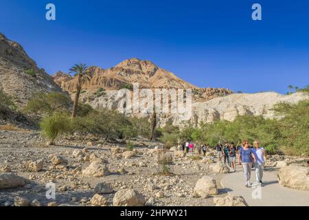 Wanderer im Wadi David, ein Gedi Nature Reserve, Israel Stockfoto