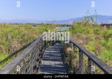 Spaziergänge zur Vogelbeobachtung, Hula Nature Reserve, Israel Stockfoto