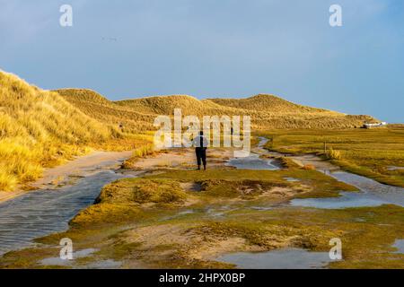 Überflutete Promenade nach Amrum Odde, NSG, Nordfriesland, Schleswig-Holstein, Deutschland Stockfoto