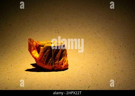 Ein paar Maschinenteile und Zahnräder in einem orangefarbenen Mikrofaserstaubtuch eingewickelt, auf einem rauen strukturierten Hintergrund, gebündelt mit elastischen Bändern - Stock Photogram Stockfoto