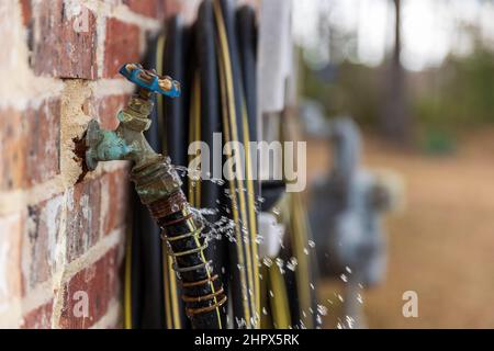 Aus dem Schlauch am Wasserhahn austretendes Wasser Stockfoto