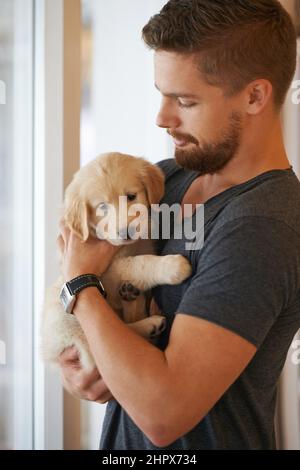 Machen Sie sich keine Sorgen, und schützen Sie sich. Kurzer Schuss eines jungen Mannes, der einen Welpen in der Hand hält. Stockfoto