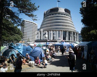 24. Februar 2022 - 17. Tag des Impf-Mandats in Wellington, Neuseeland, aus Parlamentsgründen. Stockfoto