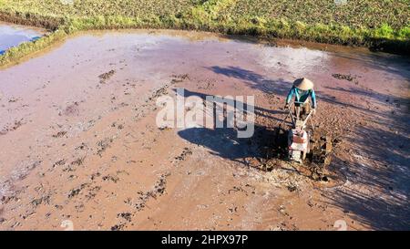 Bauer pflügt schlammiges Feld mit Handtraktor auf indonesien, asien Stockfoto