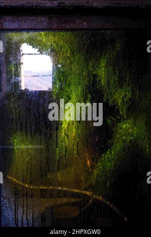 Feuchtes Fenster des zentralen Brunnens in Triora Dorf der Hexen, Ligurien, Italien Stockfoto