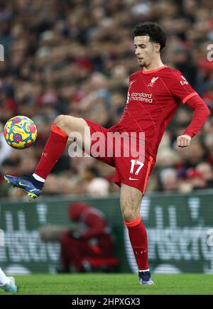 Liverpool, England, 23rd. Februar 2022. Curtis Jones von Liverpool während des Spiels der Premier League in Anfield, Liverpool. Bildnachweis sollte lauten: Darren Staples / Sportimage Stockfoto