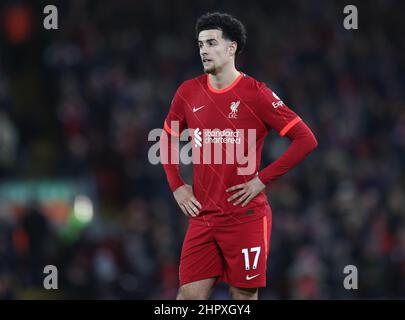 Liverpool, England, 23rd. Februar 2022. Curtis Jones von Liverpool während des Spiels der Premier League in Anfield, Liverpool. Bildnachweis sollte lauten: Darren Staples / Sportimage Stockfoto
