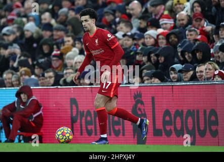 Liverpool, England, 23rd. Februar 2022. Curtis Jones von Liverpool während des Spiels der Premier League in Anfield, Liverpool. Bildnachweis sollte lauten: Darren Staples / Sportimage Stockfoto