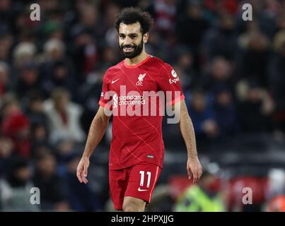 Liverpool, England, 23rd. Februar 2022. Mohamed Salah von Liverpool während des Spiels der Premier League in Anfield, Liverpool. Bildnachweis sollte lauten: Darren Staples / Sportimage Stockfoto