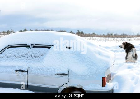 Altes Auto unter dem Schnee vergraben und ein Hund im unscharfen Hintergrund Stockfoto