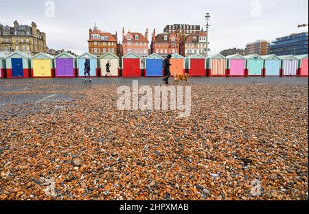 Brighton UK 24th February 2022 - Läufer und Hundewanderer passieren Strandhütten an der Hove Promenade, die von Kieseln bedeckt ist, die während der jüngsten Stürme gesprengt wurden, die Überschwemmungen und Schäden im ganzen Land verursacht haben : Credit Simon Dack / Alamy Live News Stockfoto