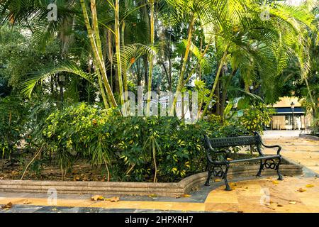 Schöner grüner Alameda Park im Zentrum von Marbella, Spanien Stockfoto