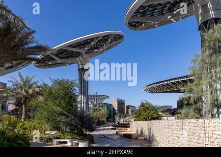 Solarpaneelbäume auf der Terra - der Nachhaltigkeitspavillon auf der Dubai EXPO 2020 in den Vereinigten Arabischen Emiraten. Stockfoto