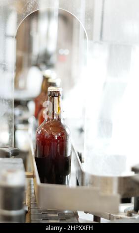 Ein köstliches neues Gebräu. Schuss von Bierflaschen auf einer Produktionslinie in einer Brauerei. Stockfoto