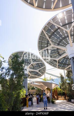 Solarpaneelbäume auf der Terra - der Nachhaltigkeitspavillon auf der Dubai EXPO 2020 in den Vereinigten Arabischen Emiraten. Stockfoto