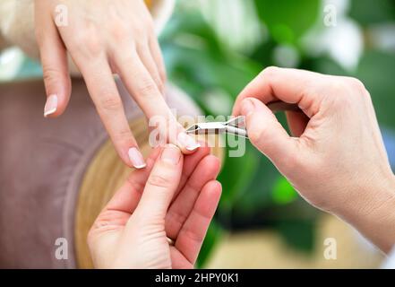 Crop anonyme Manikuristin mit Zangen beim Schneiden Nagelhaut auf Nägel von unkenntlichen weiblichen Klientin während der Maniküre Verfahren auf verschwommenem Rückenwurm Stockfoto