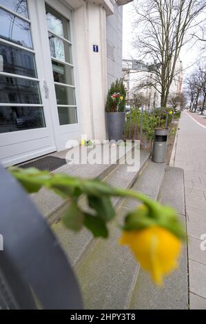 Hamburg, Deutschland. 24th. Februar 2022. Blumen in der Eingangshalle des ukrainischen Konsulats. Russische Truppen haben ihren Angriff auf die Ukraine begonnen. Quelle: Jonas Walzberg/dpa/Alamy Live News Stockfoto