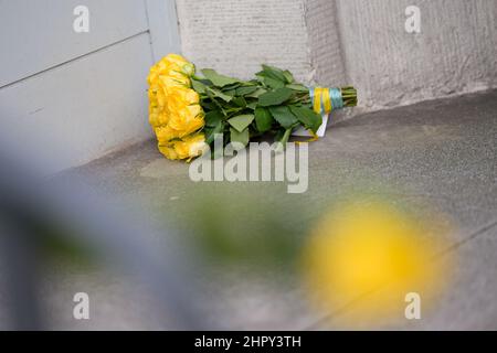 Hamburg, Deutschland. 24th. Februar 2022. Blumen in der Eingangshalle des ukrainischen Konsulats. Russische Truppen haben ihren Angriff auf die Ukraine begonnen. Quelle: Jonas Walzberg/dpa/Alamy Live News Stockfoto