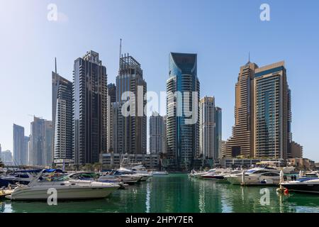 Dubai Marina Skyline und Hafen, Dubai City, mit Luxusyachten, Vereinigte Arabische Emirate. Stockfoto