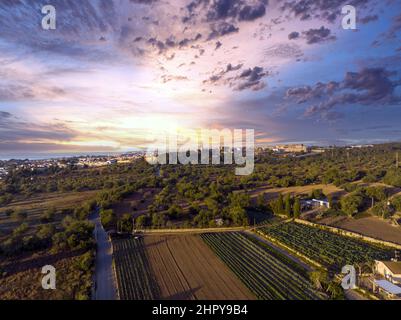 Felder und Bäume auf dem Land unter farbenprächtiger Sonne Stockfoto