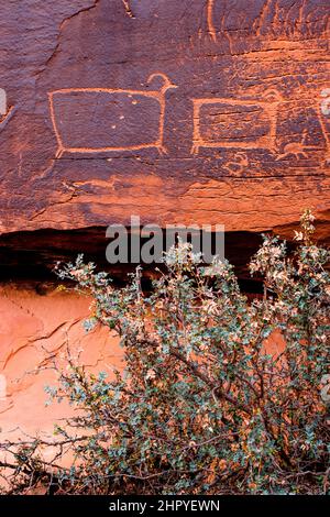 The Bighorn Sheep Panel, eine Felskunsttafel in Seven Mile Canyon, Moab, Utah. Die Tafel wurde mit Einschusslöchern beschädigt. Stockfoto