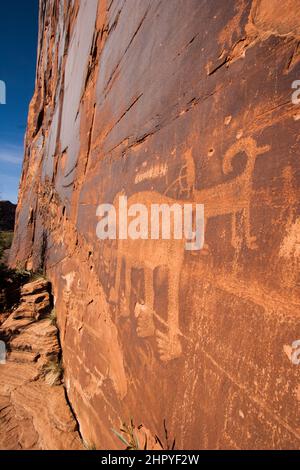 Das Bear Panel ist ein Fremont Culture Rock Art Panel der Ureinwohner Amerikas entlang des Colorado River in der Nähe von Moab, Utah. Diese Petroglyphen im Fremont-Stil sind 80 Stockfoto