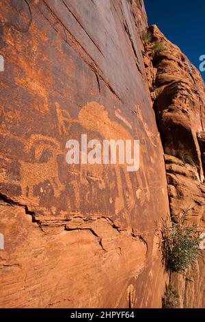 Das Bear Panel ist ein Fremont Culture Rock Art Panel der Ureinwohner Amerikas entlang des Colorado River in der Nähe von Moab, Utah. Diese Petroglyphen im Fremont-Stil sind 80 Stockfoto